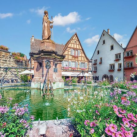 Hotel Colmar Vignes Eguisheim Kültér fotó